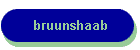 bruunshaab
