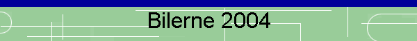 Bilerne 2004