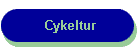 Cykeltur
