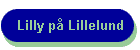 Lilly p� Lillelund