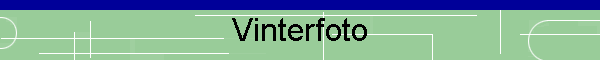 Vinterfoto