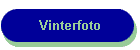 Vinterfoto