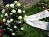 b blomst1.jpg (157733 byte)