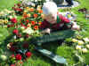 bb blomst3.jpg (183352 byte)