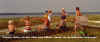 1978_b.jpg (109375 byte)