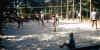 1995_d.jpg (146552 byte)